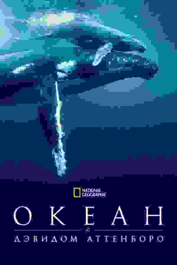 Размытый фон новости