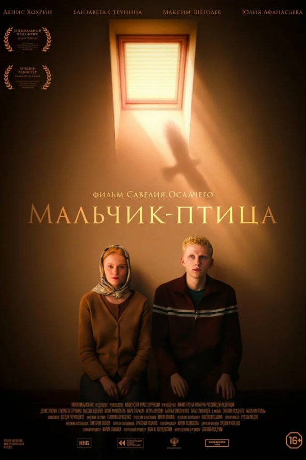 Мальчик-птица