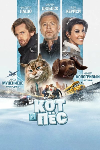 Кот и пёс